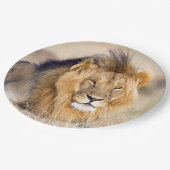 foto van leeuw papieren bordje (Gekanteld)