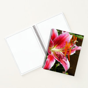 Foto van Lelie Stargazer Notitieboek
