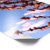 Foto van lente bloesems foto afdruk (Hoek)