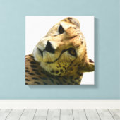 Foto van Leopard cheetah wild oerwoud Canvas Afdruk (Insitu (Houten vloer))