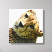 Foto van Leopard cheetah wild oerwoud Canvas Afdruk (Voorkant)