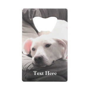 Foto van lieve luie witte hond Couch Potato Creditkaart Flessenopener