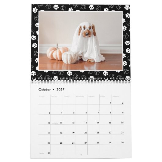 Foto van Lijst Pet van Cute Paw Kalender (Okt 2027)