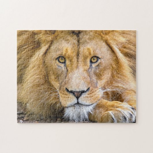 Foto van Lion Face Legpuzzel (Horizontaal)
