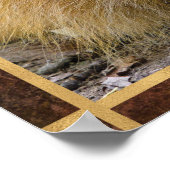 Foto van Lion Face Poster (Hoek)