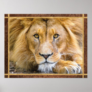 Foto van Lion Face Poster