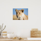 Foto van Lion Poster (Keuken)