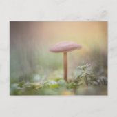 Foto van Little Mushroom Natuur Briefkaart (Voorkant)