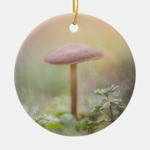 Foto van Little Mushroom natuur Keramisch Ornament