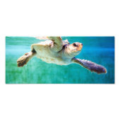 Foto van Loggerhead #3 Afdruk (Voorkant)