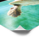 Foto van Loggerhead #3 Foto Afdruk (Hoek)