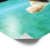 Foto van Loggerhead #4 Afdruk (Hoek)