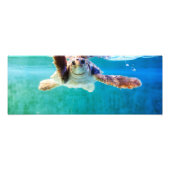 Foto van Loggerhead #4 Afdruk (Voorkant)