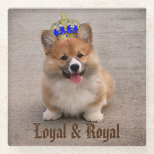 Foto van Loyal and Royal Corgi Puppy Glazen Onderzetter