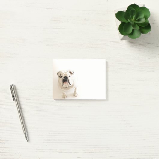 Foto van Loyal White Bulldog Post-it® Notes (Kantoor)