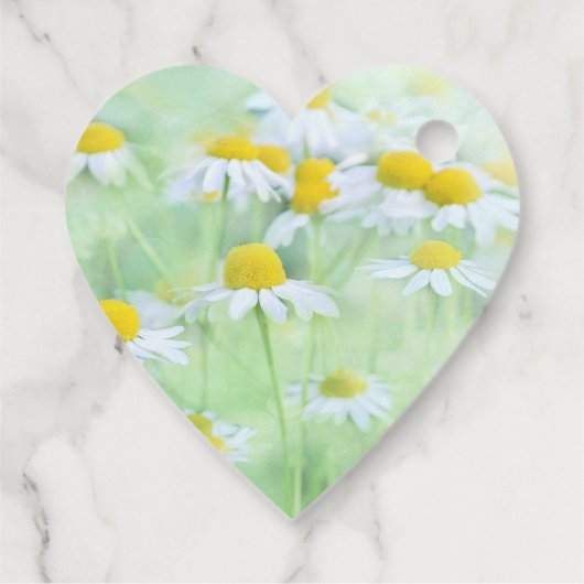 Foto van madeliefjes in een veld Dank u Bedankjes Labels (Achterkant)