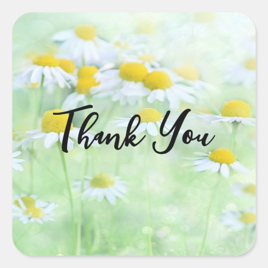 Foto van  madeliefjes in een veld Dank u Vierkante Sticker (Voorkant)