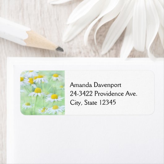 Foto van  madeliefjes in een veld etiket (Insitu)