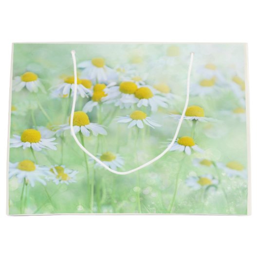 Foto van  madeliefjes in een veld groot cadeauzakje (Voorkant)