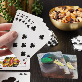 Foto van Male Mallard Duck Pokerkaarten