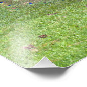 Foto van Male Peacock Foto Afdruk (Hoek)