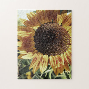 Foto van Mammoth Sunflower Legpuzzel