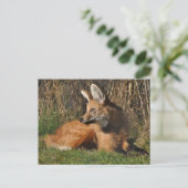 Foto van Maned wolf Briefkaart (Staand voorkant)