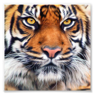 Foto van Mannelijke Siberische tijger Afdruk