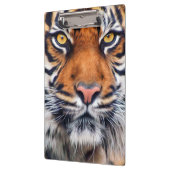 Foto van Mannelijke Siberische tijger Klembord (Links)