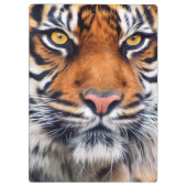 Foto van Mannelijke Siberische tijger Klembord (Achterkant)