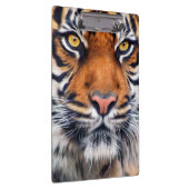 Foto van Mannelijke Siberische tijger Klembord (Rechts)