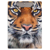 Foto van Mannelijke Siberische tijger Klembord (Voorkant)