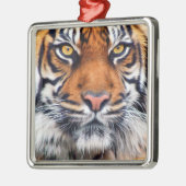 Foto van Mannelijke Siberische tijger Metalen Ornament (Links)