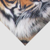 Foto van Mannelijke Siberische tijger Tissuepapier (Detail)