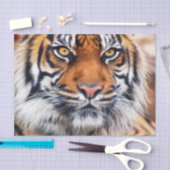 Foto van Mannelijke Siberische tijger Tissuepapier (Craft)