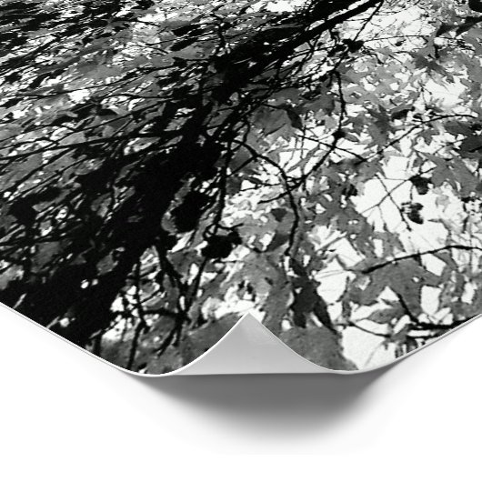 Foto van Maple Tree Inkblot Poster (Hoek)