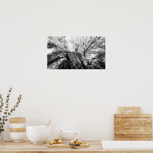 Foto van Maple Tree Inkblot Poster (Keuken)