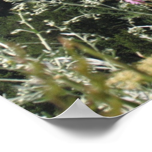 Foto van Matterhorn Mountain Poster (Hoek)