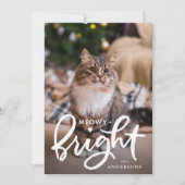 Foto van Meowy en Bright Cat Feestdagenkaart (Voorkant)