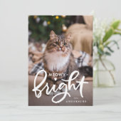 Foto van Meowy en Bright Cat Feestdagenkaart (Staand voorkant)