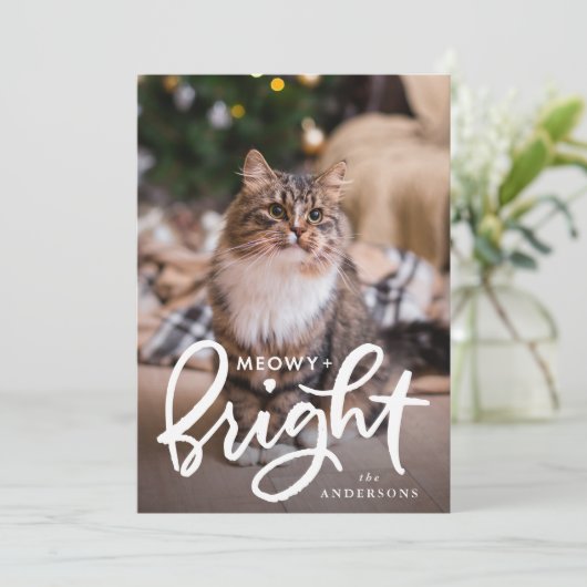 Foto van Meowy en Bright Cat Feestdagenkaart (Staand voorkant)
