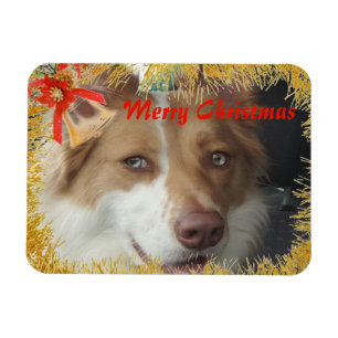 Foto van Merry Kerstmis Magneet