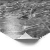  foto van Mexicaanse Farmer en Koeien Afdruk (Hoek)