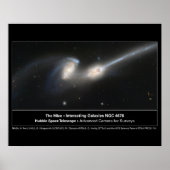 Foto van Mice Hubble Telescope Poster (Voorkant)
