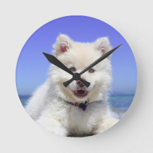 Foto van mijn hond op 8-inch acrylronde grote klok