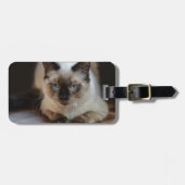 Foto van Modern Pet Cat Bagagelabel (Voorkant horizontaal)