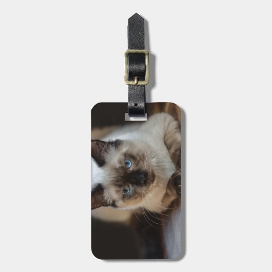 Foto van Modern Pet Cat Bagagelabel (Voorkant verticaal)