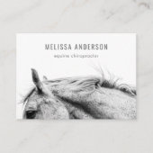 Foto van moderne Equine Chiropractor Physiotherapi Visitekaartje (Voorkant)