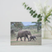 Foto van moeder en Baby Elephant Briefkaart (Staand voorkant)