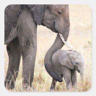 Foto van moederliefde vierkante sticker